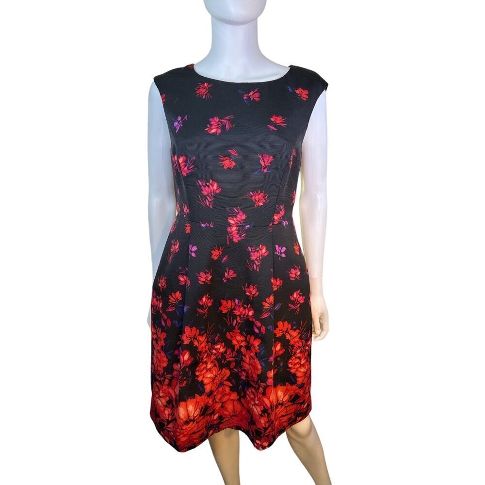 Adrianna Papell Black Floral Sleeveless Fit & Flare Dress Red Accents Sz 10P EUC